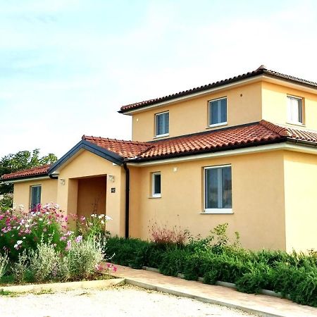 Vila Dubravka - Schoen Und Komfortabel Inmitten Von Olivenbaeumen Und Weinbergen Mit Whirlpool Valtura Exteriör bild